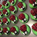 Cupcakes Bugs
