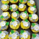 Cupcakes Flowers